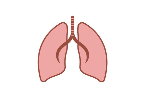 Lung - Sticker Embroidery Review