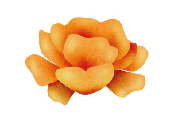 Spring Flower, Sticker Style, Watercolor Review